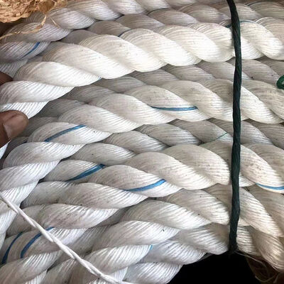 Plastic Rope Flexible Lightweight Strong Load Capacity Outdoor Equipment Category